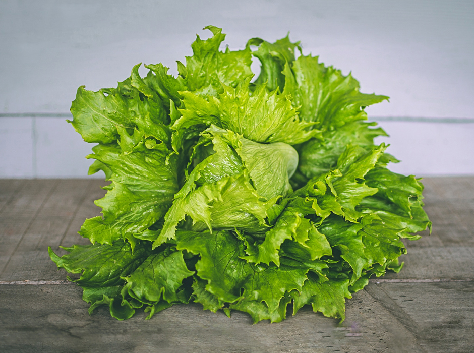 close up of leaf lettuce