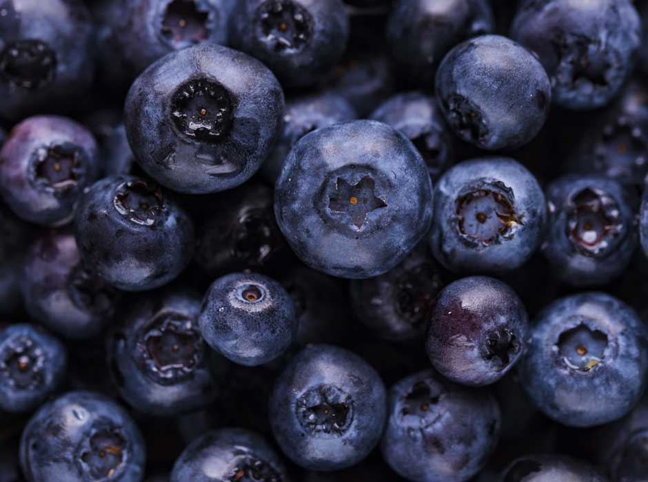 fresh blueberries